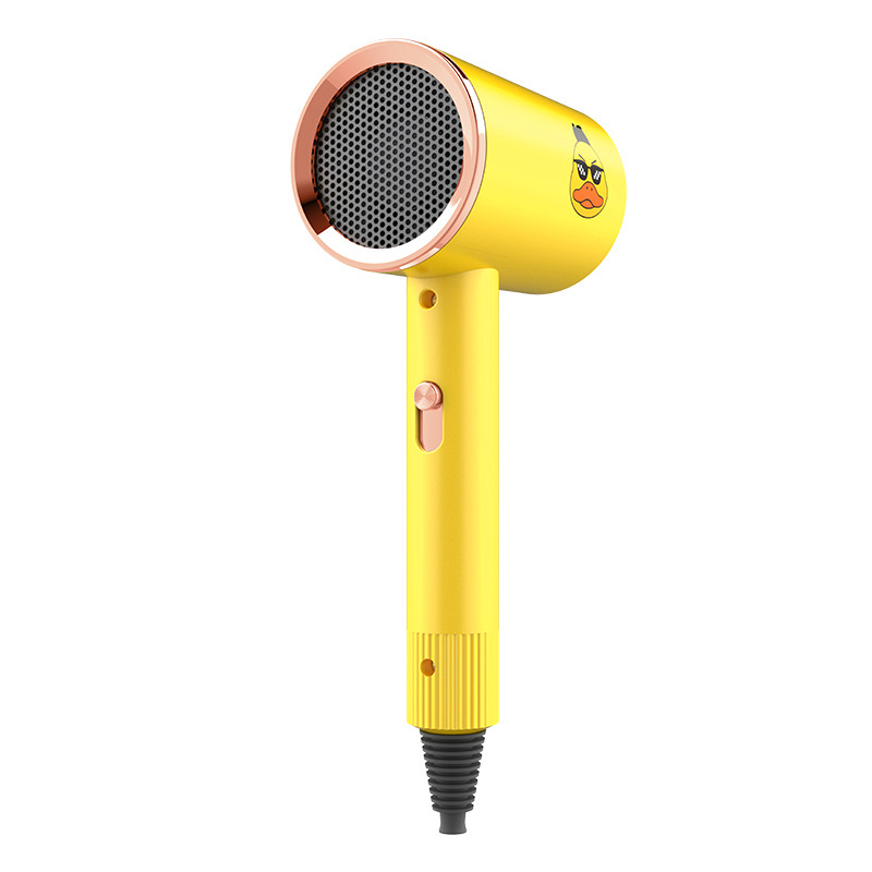 HD-V01 Hair Dryer